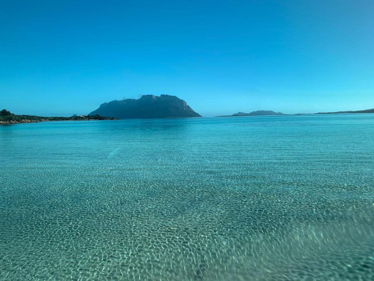 La Marina With Pool * Olbia