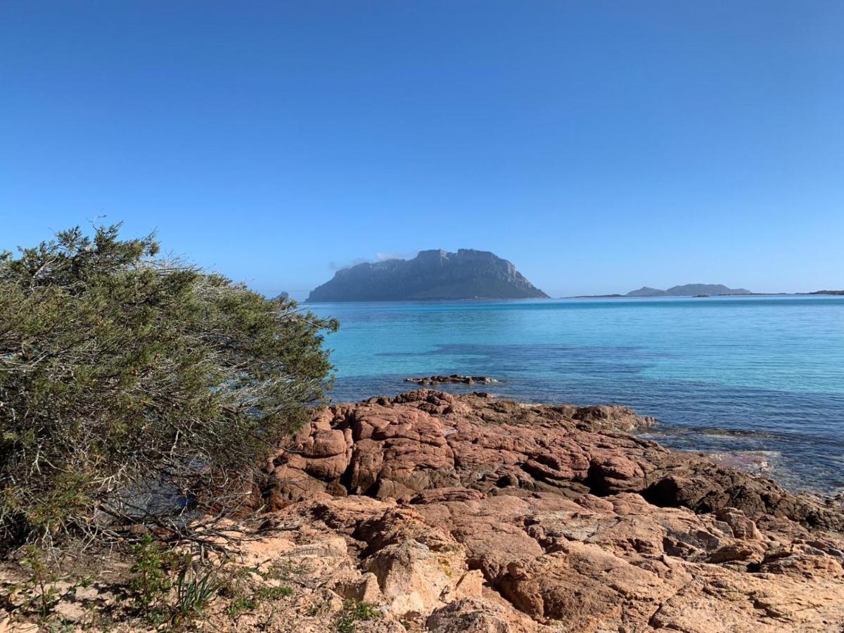 La Marina With Pool Apartment Olbia