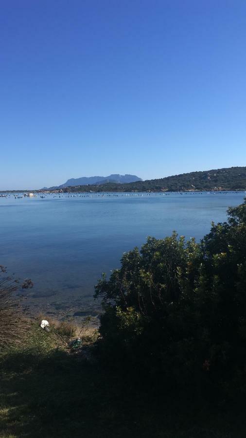 La Marina With Pool Apartment Olbia